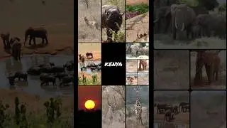 #Kenya 🇰🇪 #TsavoNationalPark 🐘✨️ #Safari #WildAfrica #BigFiveSafari 🦁