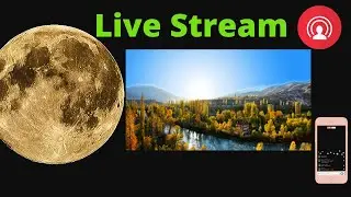Foggy Mountain | Relaxing video | Live Chat | DearPlanet