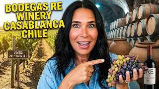 Винодельня Bodegas Re Casablanca Chile #BodegasRE#CasablancaWinery#ChileanWines#WineTastingChile