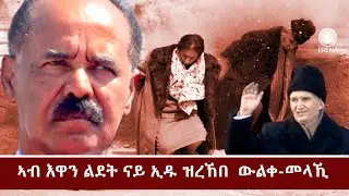 ኣብ እዋን ልደት ናይ ኢዱ ዝረኸበ ውልቀ -መላኺ - ብሳሎኮርንያ