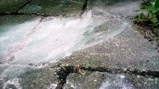 How to blend chalk together with a paint brush Technique
