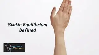 Static vs Dynamic Equilibrium and Macroscopic Properties in Reversible Reactions at Equilibrium