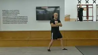 Chum Kiu Form (Front and Side View) Wing Chun Kung Fu