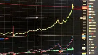 Silver $5000 Wager on $50 oz