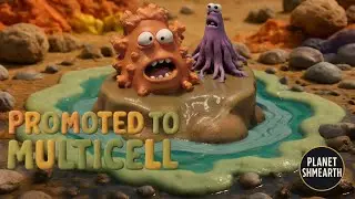 The Rise of Microbial Madness &bull; To Much HISTORY Not Enough SLEEP