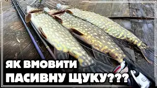 ✅️ ЯК ВПІЙМАТИ ПАСИВНУ ЩУКУ ВЗИМКУ❓️❄️ ОСОБЛИВОСТІ ЗИМОВОГО СПІНІНГУ🎣 НЕСПОДІВАНИЙ БОНУС‼️🔥
