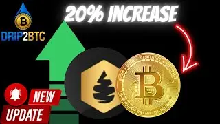 Drip Network Animal Farm - Drip2BTC 60 day update portfolio strategy overview