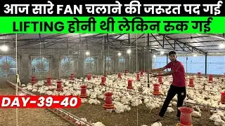 Ec Poultry Farm Business Plan,10000 Chiks Day 40,Lifting क्यो रुक गई Farm 