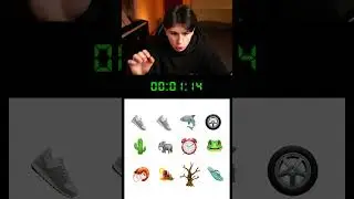 ИТАЛЬЯНСКИЕ ЖИВОТНЫЕ СПИДРАН ЭМОДЗИ МИРОВОЙ РЕКОРД