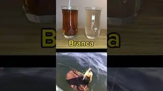 Teste de cor da isca e cor da agua para sua pescaria