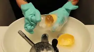 Cleaning Dog Stuff ASMR