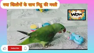 Naya khilaune ke sath mitthu  ki Masti 🎊🥰