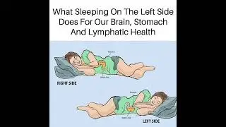 Body metabolism #trending #nursingquestionandanswer