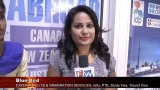 Blue Bird Immigration