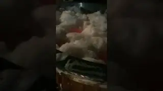 Kubilas su putomis