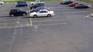 Parking lot goose confrontation
