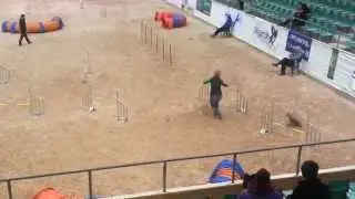 Malou B.A.C.K. 2015 Jumping 2 - stupid disq :P
