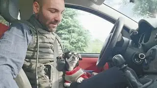 Perch&eacute; abbiamo deciso di NON prendere un secondo cane: ecco cosa ci ha fatto cambiare idea 🐶