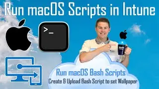 Запуск скриптов macOS в Intune — Управление macOS в Intune (9/10)