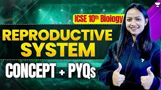 Reproductive System Concepts & PYQs | ICSE Class 10 Biology | Pallavi Ma'am