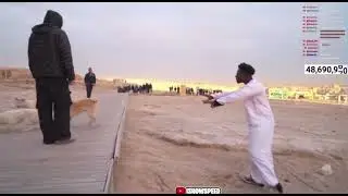 SPEED BARKS AT A DOG TO STOP IT FROM&hellip;🔥🔥‼️‼️