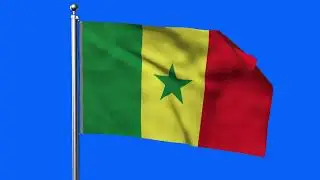 SENEGAL FLAG ANIMATION GREEN SCREEN (4K LOOP VIDEO)