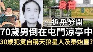 香港奇案 | 70歲男倒在屯門涼亭中，30歲犯人竟稱自己是天狼星人及秦始皇?  | 奇案調查 | 詭異先生 |  奇案解密 | 張國炎 | 萬日林（奇案 粵語／廣東話）（中文字幕）