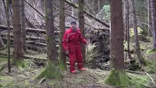 del 1 skogfors&oslash;k me ser p&aring; sitkaskogen