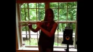 BEYOND THE VEIL by Lindsey Stirling flute cover!!