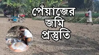 পেঁয়াজ চাষের আগে জমি প্রস্তুতি ও সার প্রয়োগের সম্পূর্ণ নিয়ম | Onion Farming