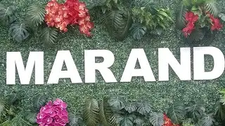 Happy Birthday #trending #blackpink #viral l