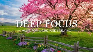 Deep Focus Music for Studying &ndash; 3 Hours of Ambient Focus Music for Productivity