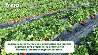 MAXICROP&reg;