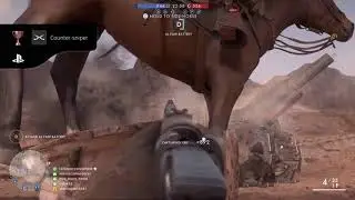 Horse shield
