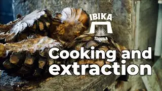 Cooking the agave and extracting the juice