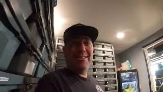 A snake day with American ball python&rsquo;s or as most people know him Mike Tenerelli