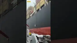 Why Do Ships Have Red Bottoms? (Full Explanation) ❌🤯#shorts #facts #amazingfacts
