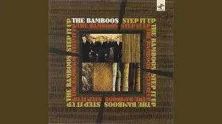 The Bamboos - Another Day in the Life of Mr. Jones