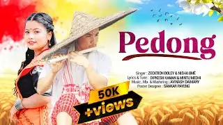 P&Egrave;DONG || OFFICIAL SONG || ZECKTION DOLEY || NISHA OME || 2025 
