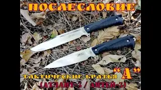 Атлант и Антей .Тактические братья 