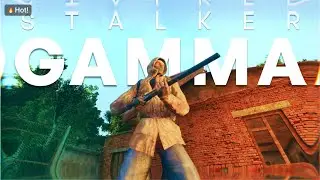 Эти задания на ранних этапах игры приносят ОГРОМНЫЕ выигрыши! | STALKER GAMMA, ЭПИЗОД 3