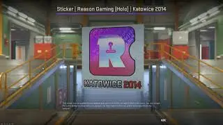 Sticker | Reason Gaming (Holo) | Katowice 2014. Как выглядят 7 миллионов рублей одной 