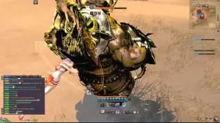 Blade and Soul EU Assassin Gameplay