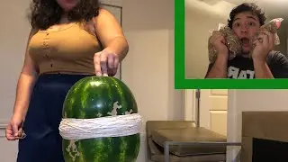 THE DAY WATERMELON EXPLODED IN OUR HOME (RUBBER BAND EXPERIMENT)