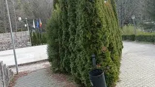 Govora Băi.. stațiunea fantomă 👻 a jud V&acirc;lcea... priviti p&acirc;nă la final:⁠-⁠)
