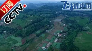 《飞越中国》醉美春色 四川都江堰 | CCTV