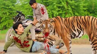 TIGER DOUBLE ATTACK 🐅 | TWO BROTHERS VS TIGER | BIKE BLAST AND HUNT IN JUNGLE
