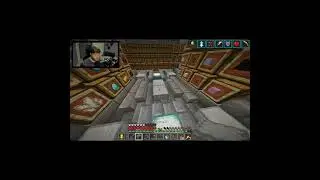 How Many Elytras I Have