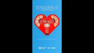 SENSORIALIS. M&oacute;dulo g&eacute;neros. 4 de noviembre 2022, CCEBA - #shorts