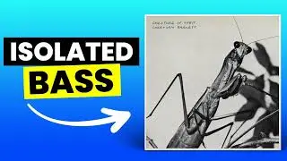 Site Unseen - Courtney Barnett/Waxahatchee | Only Bass (Isolated)